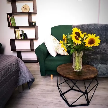 Apartament W Zlotym Stoku Przystanek Las Złoty Stok Esterno foto