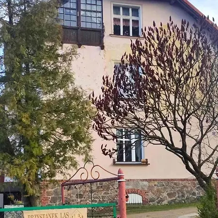 Apartament W Zlotym Stoku Przystanek Las Złoty Stok Esterno foto